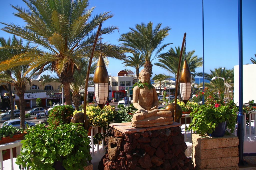 Playaflor Chill Out Resort A 50 Mtrs De La Playa (Adults Only) Playa de las Americas  Exterior photo